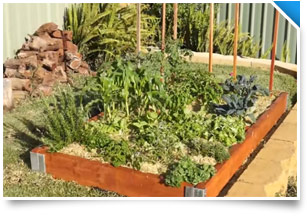 Raised Garden Bed