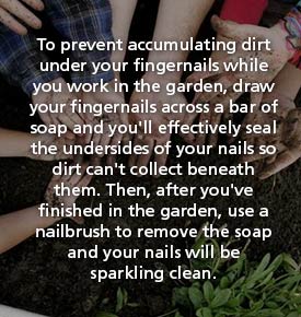 Handy-Hints-nails.jpg