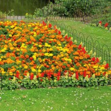 14360---Looped-Border-Edging-insitu
