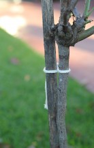 18704---enviro-tie-40m-insitu.jpg