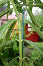 18723---handy-twist-ties-200mm-200pk-insitu