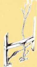 jute-webbing-illustration---coloured